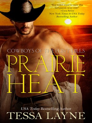 cover image of Prairie Heat